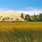 Coastal Dunes